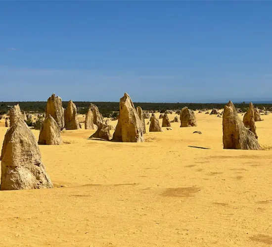 Fedezd fel Ausztrália szépségeit, NewTourZealand